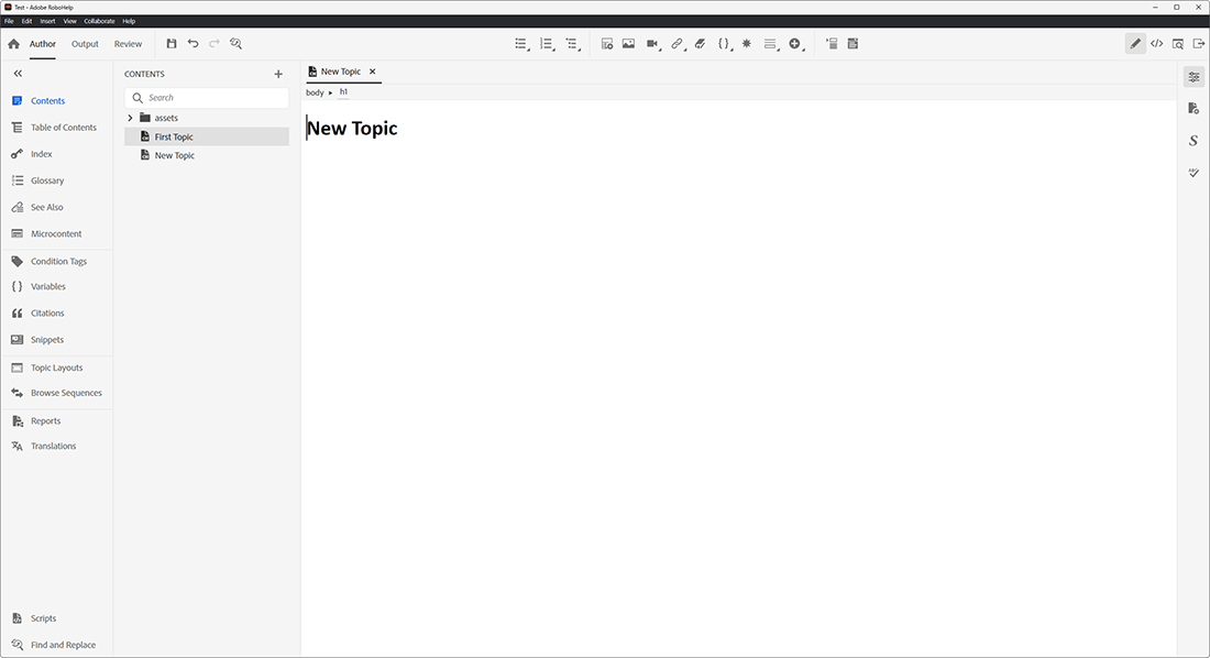 Окно интерфейса программы Adobe RoboHelp